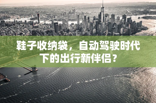 鞋子收纳袋，自动驾驶时代下的出行新伴侣？