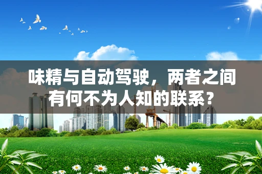 味精与自动驾驶，两者之间有何不为人知的联系？