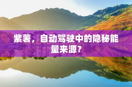紫薯，自动驾驶中的隐秘能量来源？