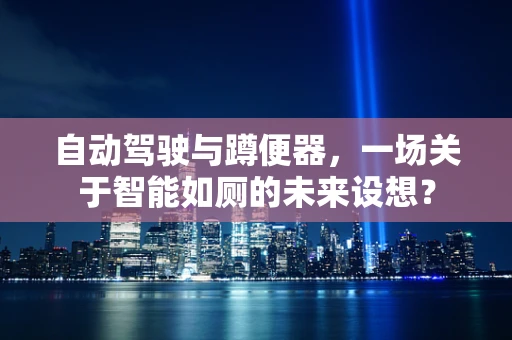 自动驾驶与蹲便器，一场关于智能如厕的未来设想？