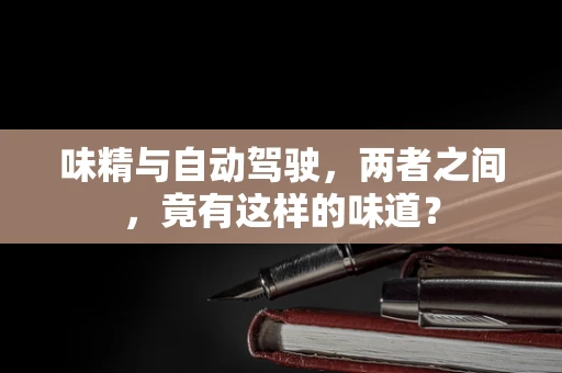 味精与自动驾驶，两者之间，竟有这样的味道？
