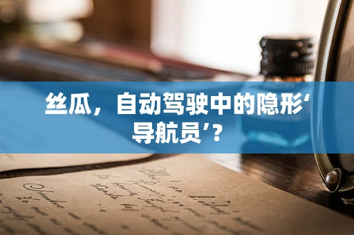 丝瓜，自动驾驶中的隐形‘导航员’？