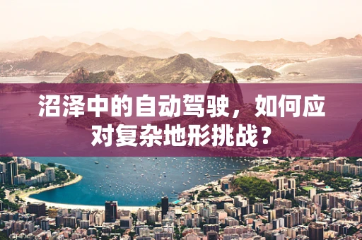 沼泽中的自动驾驶，如何应对复杂地形挑战？