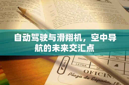 自动驾驶与滑翔机，空中导航的未来交汇点