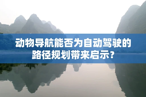 动物导航能否为自动驾驶的路径规划带来启示？