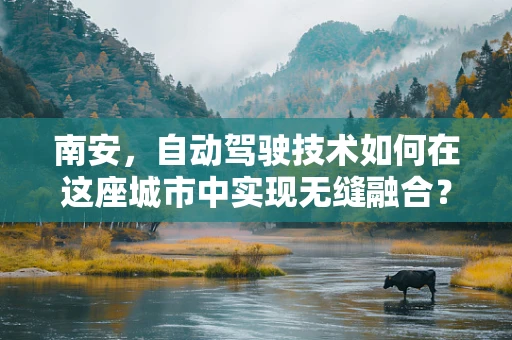 南安，自动驾驶技术如何在这座城市中实现无缝融合？