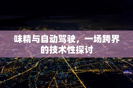 味精与自动驾驶，一场跨界的技术性探讨