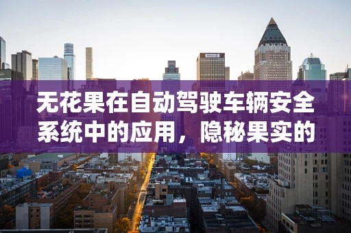 无花果在自动驾驶车辆安全系统中的应用，隐秘果实的大作用？