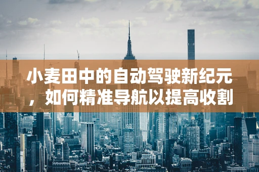 小麦田中的自动驾驶新纪元，如何精准导航以提高收割效率？
