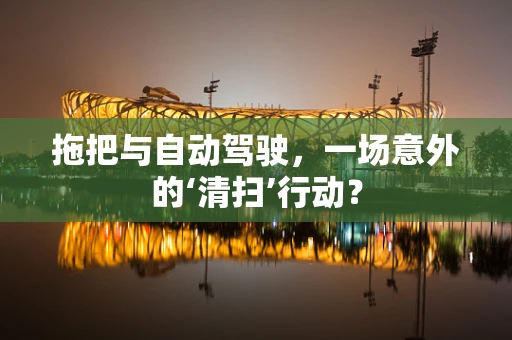 拖把与自动驾驶，一场意外的‘清扫’行动？