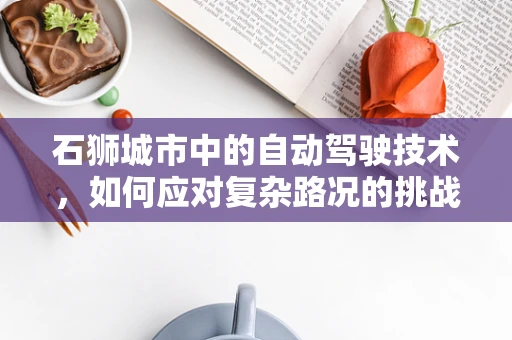 石狮城市中的自动驾驶技术，如何应对复杂路况的挑战？