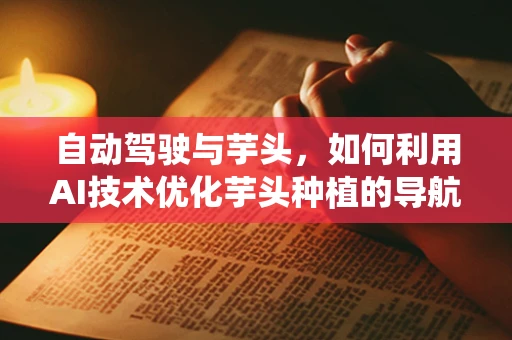 自动驾驶与芋头，如何利用AI技术优化芋头种植的导航系统？