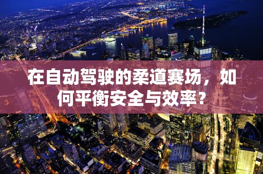 在自动驾驶的柔道赛场，如何平衡安全与效率？