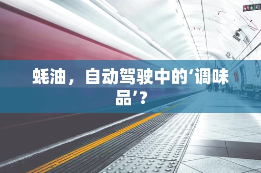 蚝油，自动驾驶中的‘调味品’？
