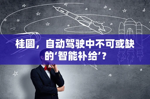 桂圆，自动驾驶中不可或缺的‘智能补给’？