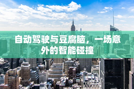 自动驾驶与豆腐脑，一场意外的智能碰撞