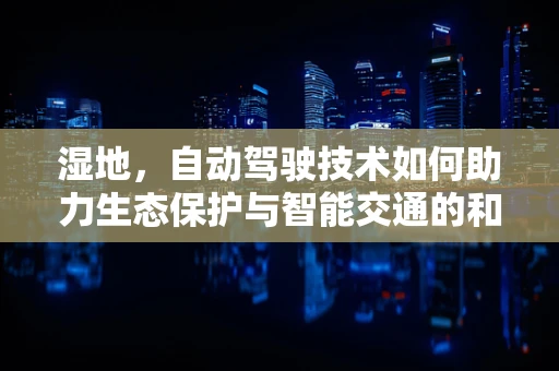 湿地，自动驾驶技术如何助力生态保护与智能交通的和谐共舞？