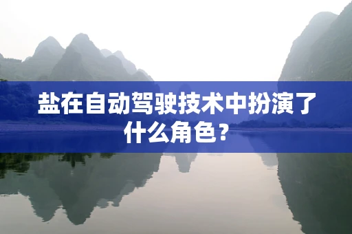 盐在自动驾驶技术中扮演了什么角色？