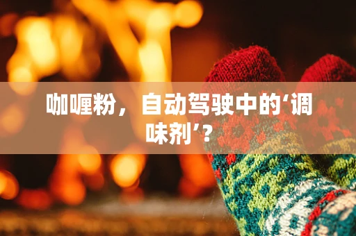 咖喱粉，自动驾驶中的‘调味剂’？