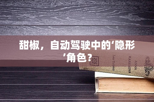 甜椒，自动驾驶中的‘隐形’角色？