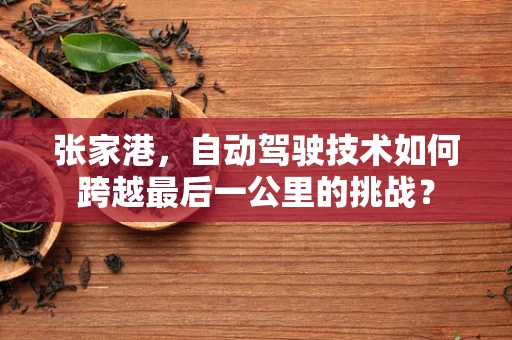 张家港，自动驾驶技术如何跨越最后一公里的挑战？