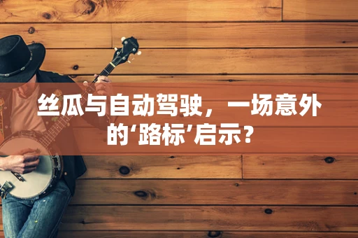 丝瓜与自动驾驶，一场意外的‘路标’启示？