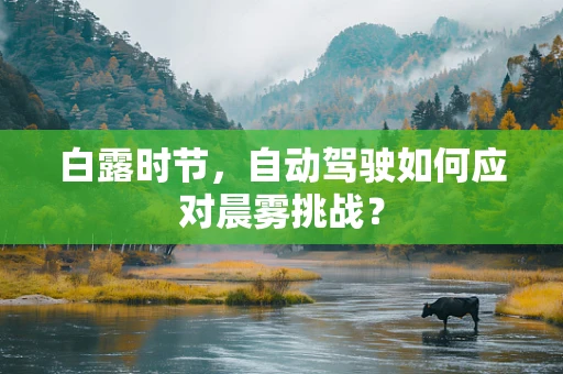 白露时节，自动驾驶如何应对晨雾挑战？