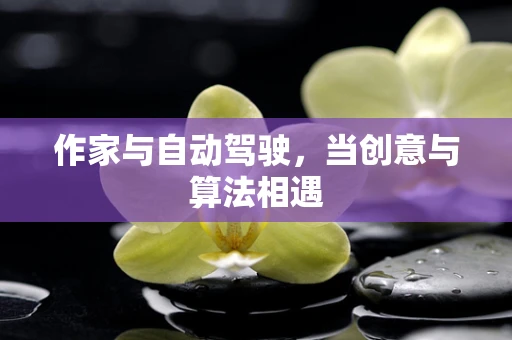 作家与自动驾驶，当创意与算法相遇