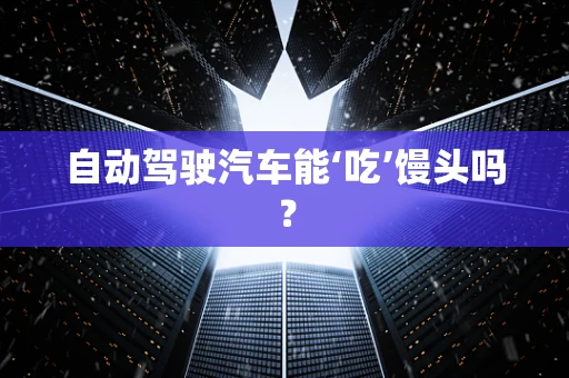 自动驾驶汽车能‘吃’馒头吗？