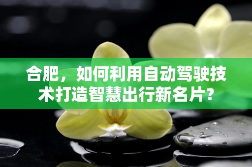 合肥，如何利用自动驾驶技术打造智慧出行新名片？