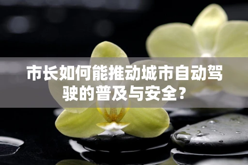 市长如何能推动城市自动驾驶的普及与安全？