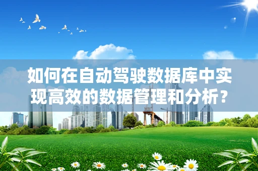 如何在自动驾驶数据库中实现高效的数据管理和分析？