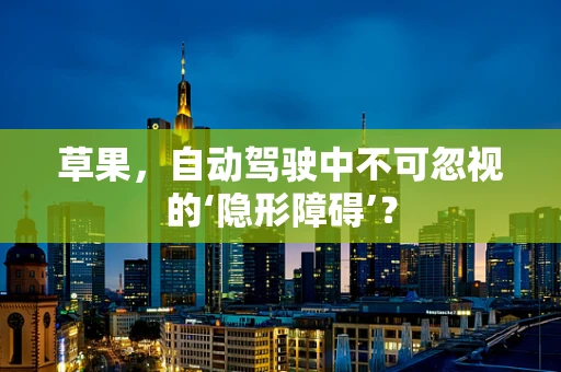 草果，自动驾驶中不可忽视的‘隐形障碍’？