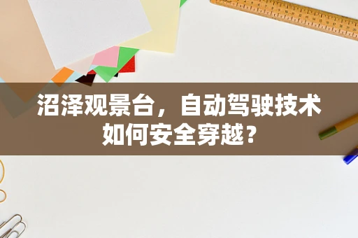 沼泽观景台，自动驾驶技术如何安全穿越？