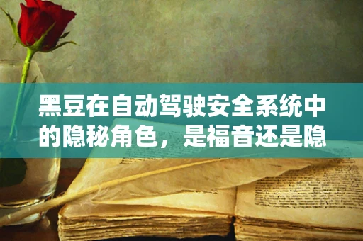黑豆在自动驾驶安全系统中的隐秘角色，是福音还是隐患？