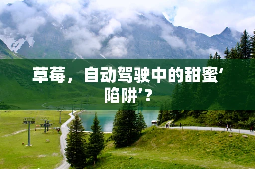 草莓，自动驾驶中的甜蜜‘陷阱’？