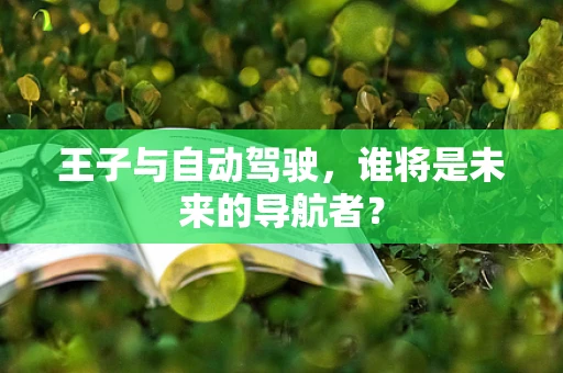王子与自动驾驶，谁将是未来的导航者？