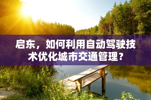 启东，如何利用自动驾驶技术优化城市交通管理？
