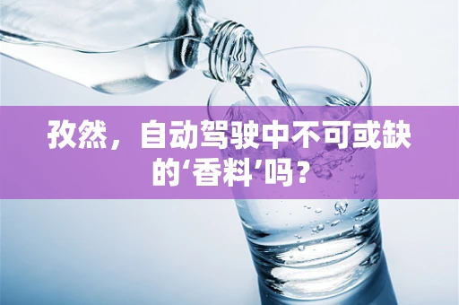 孜然，自动驾驶中不可或缺的‘香料’吗？
