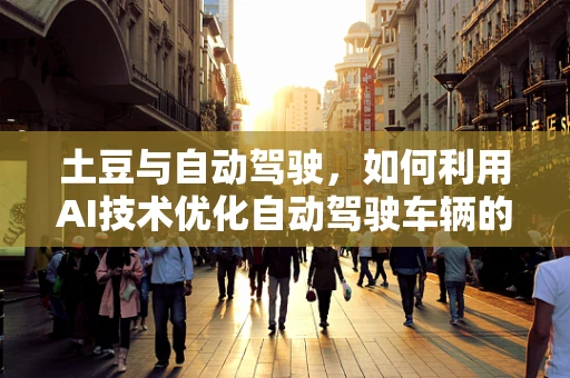 土豆与自动驾驶，如何利用AI技术优化自动驾驶车辆的‘视觉’识别？