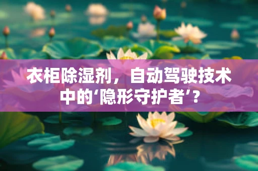 衣柜除湿剂，自动驾驶技术中的‘隐形守护者’？