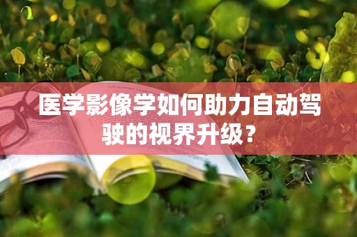 医学影像学如何助力自动驾驶的视界升级？