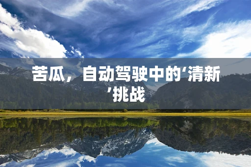 苦瓜，自动驾驶中的‘清新’挑战