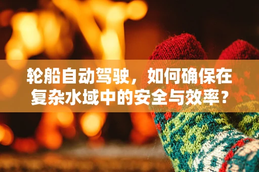 轮船自动驾驶，如何确保在复杂水域中的安全与效率？