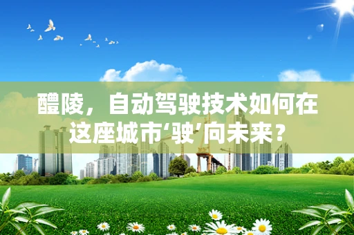 醴陵，自动驾驶技术如何在这座城市‘驶’向未来？