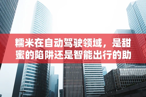 糯米在自动驾驶领域，是甜蜜的陷阱还是智能出行的助力？