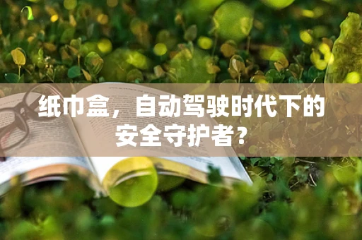 纸巾盒，自动驾驶时代下的安全守护者？