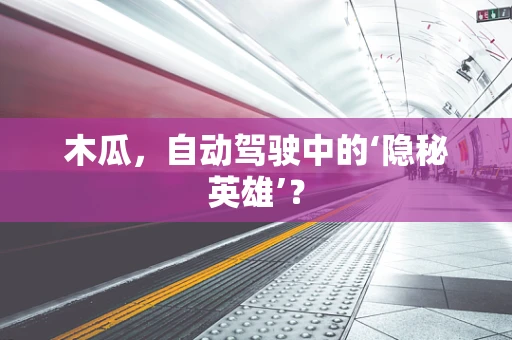木瓜，自动驾驶中的‘隐秘英雄’？
