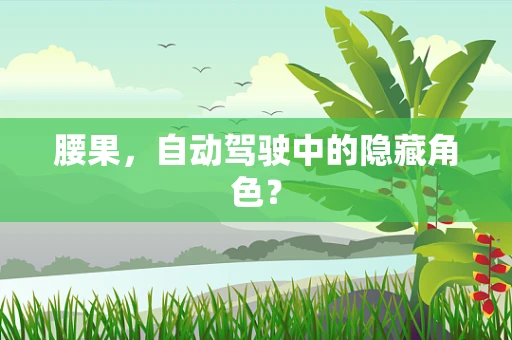腰果，自动驾驶中的隐藏角色？
