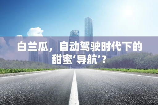 白兰瓜，自动驾驶时代下的甜蜜‘导航’？